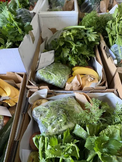 Cover image for Farm Shop Changes and Fresh Produce Update